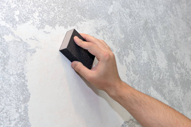Best Crawl Space Mold Remediation  in Evergreen Park, IL