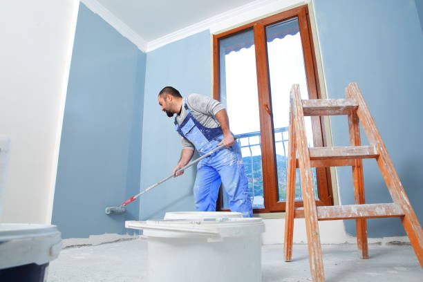 Professional Mold Removal in Evergreen Park, IL