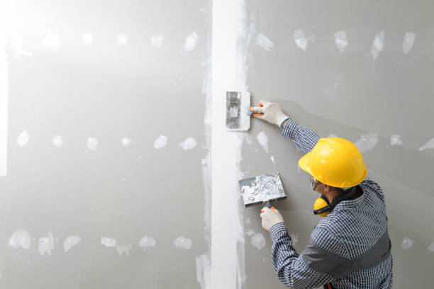 Best Commercial Mold Inspection  in Evergreen Park, IL