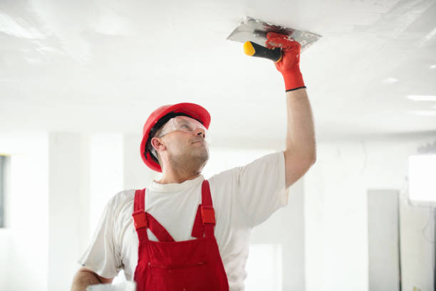 Best Airborne Mold Testing  in Evergreen Park, IL
