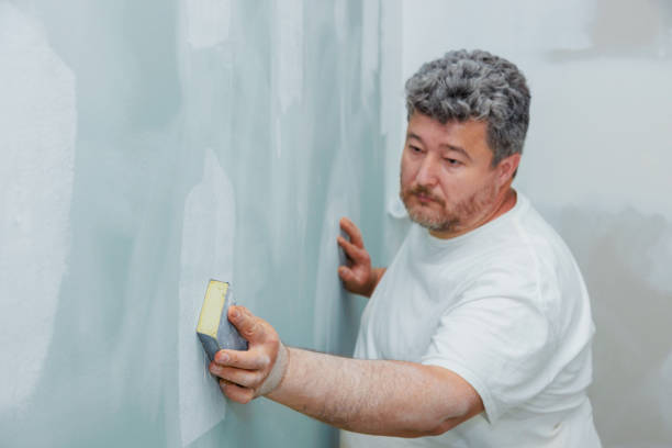Best Mold Removal for HVAC Installations  in Evergreen Park, IL